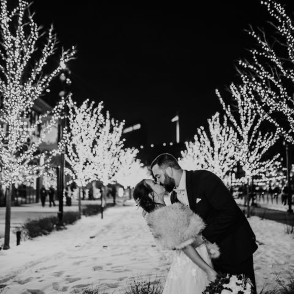 Meet your Posher, Bailey - Picture 1 of 1